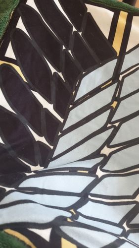 Customer photo review of Kawaii Style Attack on Titan Blanket/Cape