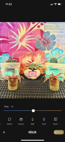 Customer photo review of BIKINI VERT PASTEL - BAS (1 pce)