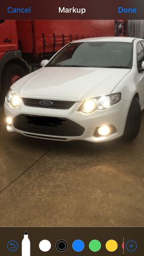 Customer photo review of Spectrum Shine & Shield Quick Coat