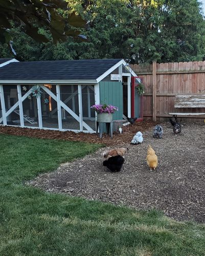 Customer photo review of GrubTerra Dried Larvae