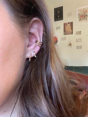 Customer photo review of Triple Bar Hinged Segment Ring