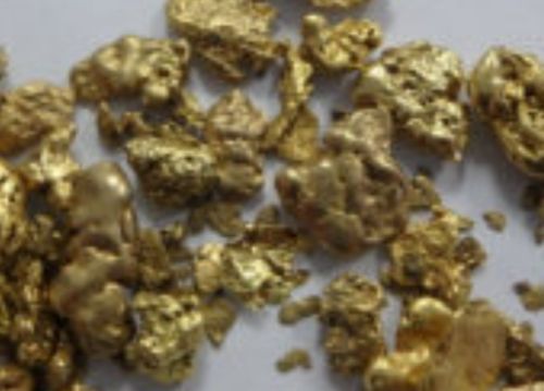 Customer photo review of *BOGO* Gold Diggers Delight '10 TROY OUNCE GOLD HUNT' - Gold Paydirt Panning Concentrates