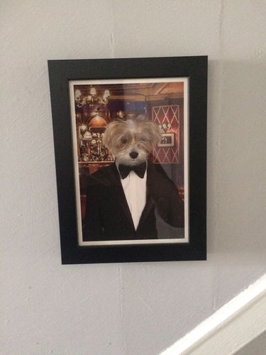 Customer photo review of The Gentleman - Custom Vintage Pet Portrait