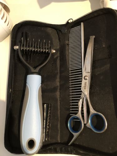 Customer photo review of Peigne de Toilettage Professionnel PuppySafe™