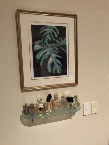 Customer photo review of Monstera Kiss - Monstera Print On Blue Background Canvas or Art Print