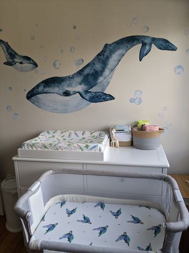 Customer photo review of Whales & Bubbles Decal Set