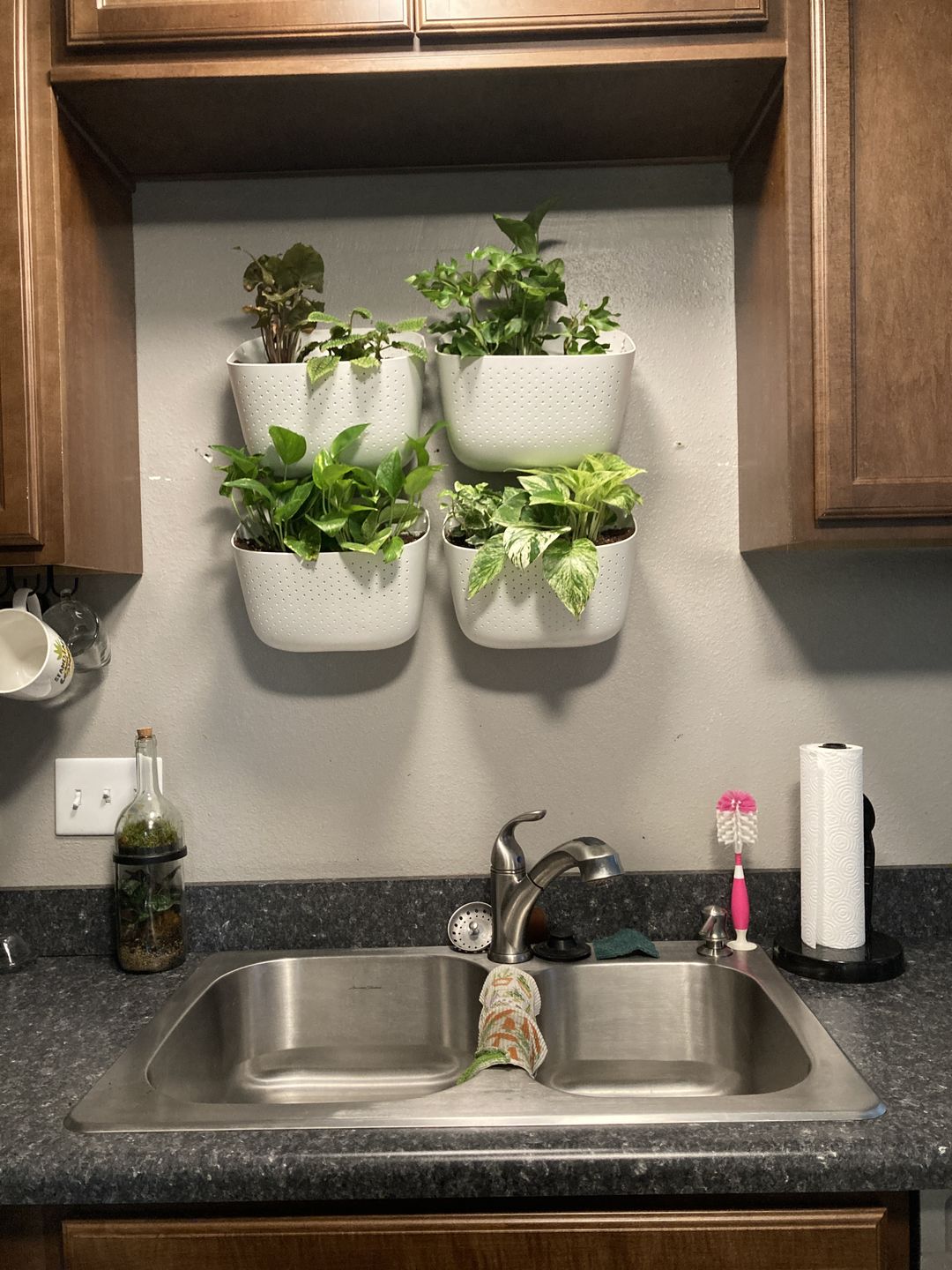 Customer photo review of Eco White Wall Planter