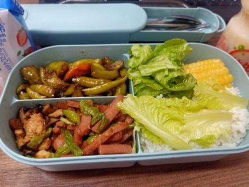 Customer photo review of Leakproof Lunchbox