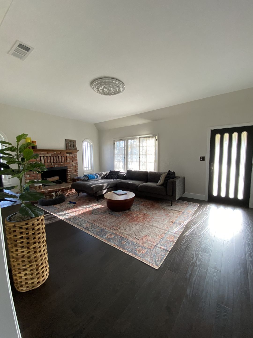 Customer photo review of Distressed Vintage Levent Area Rug
