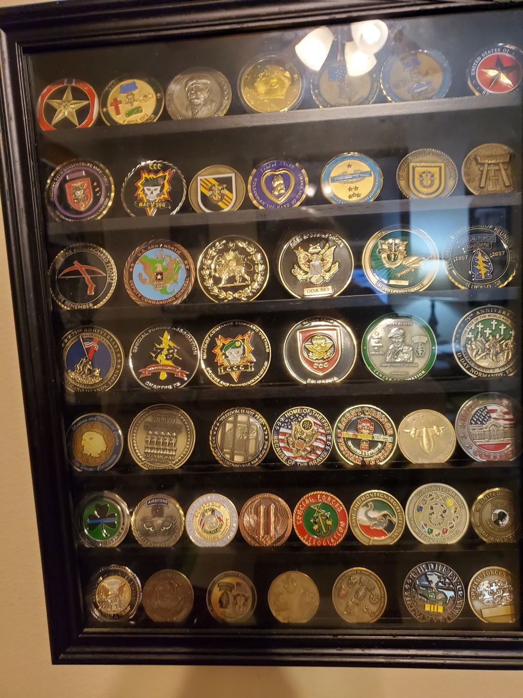 Customer photo review of Vietnam Veteran Coin