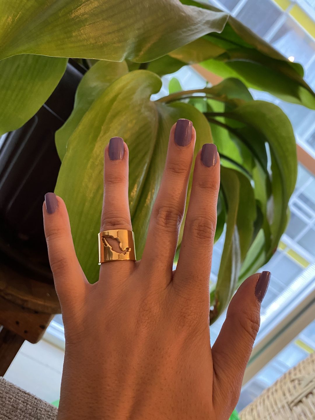Customer photo review of Anillo México Querido