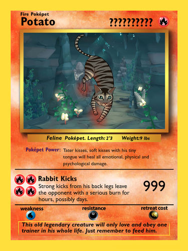 Customer photo review of Number of Pokepets and Trainers