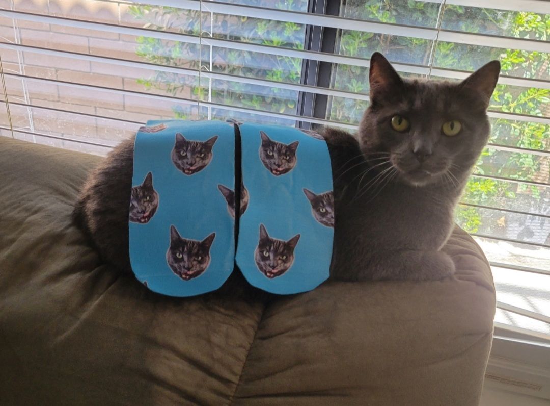 Customer photo review of 5X Socks Bundle