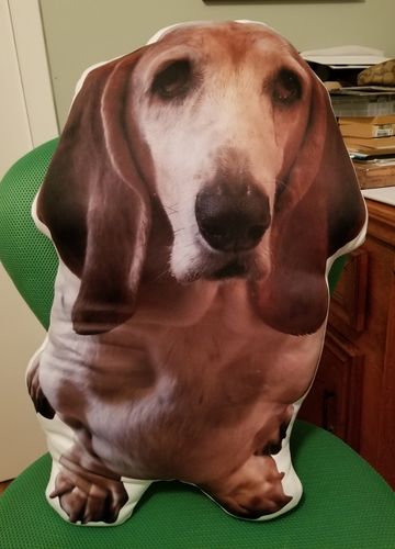 Customer photo review of Create A Custom Dog Pillow