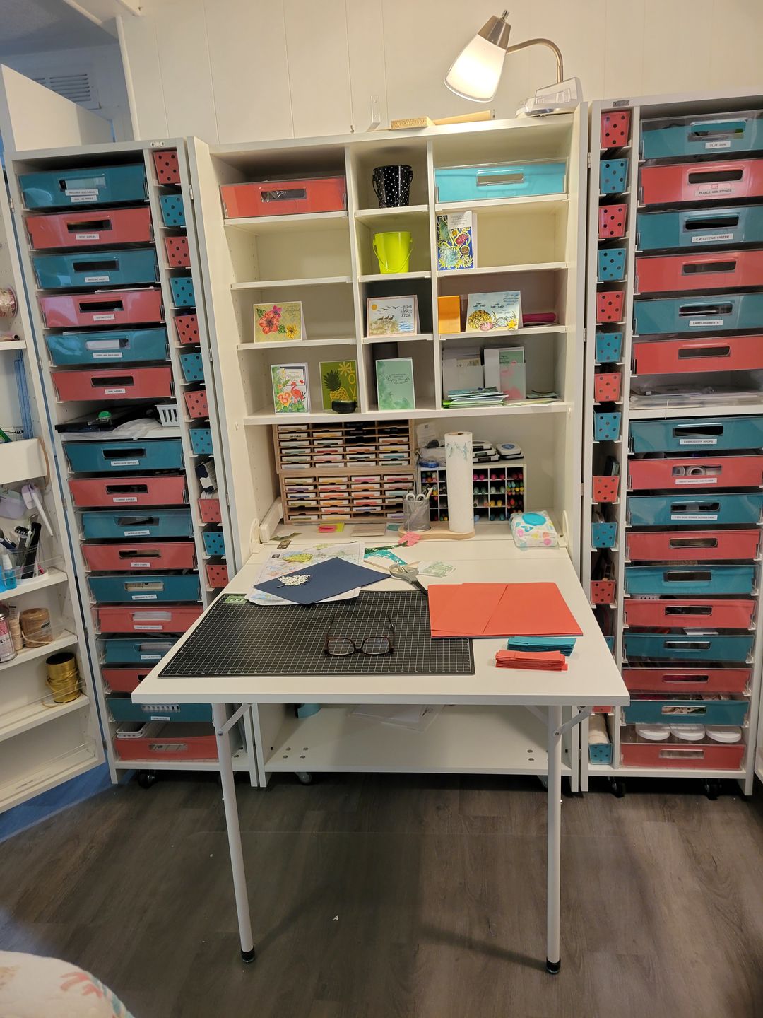 Customer photo review of InView™ Tote Tracks