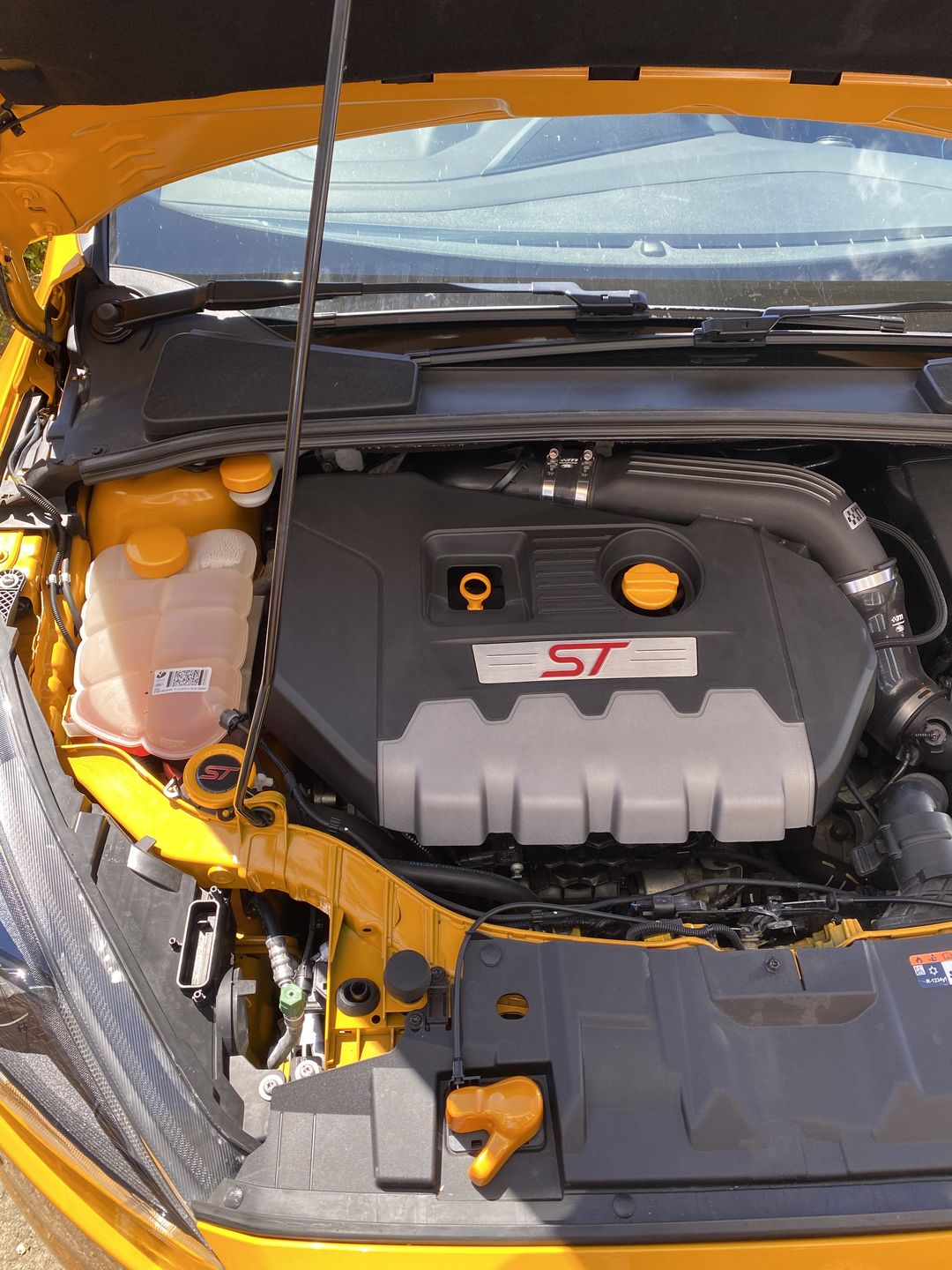 Customer photo review of Proform Bonnet Catch Cover (various colours) - MK3 / 3.5 Focus & Mk2 Puma