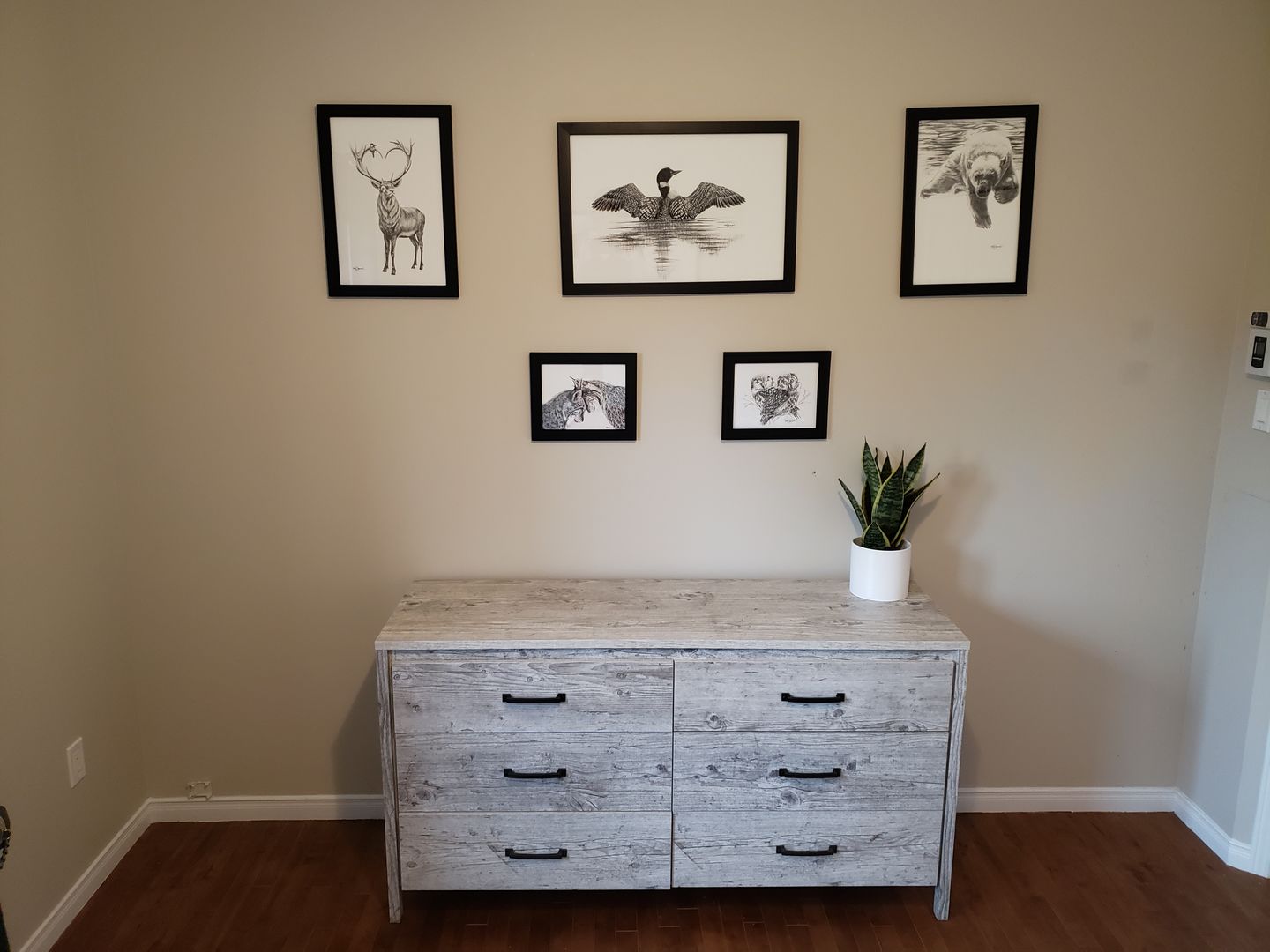 Customer photo review of Lynx in love illustration - "Social Animal" Collection