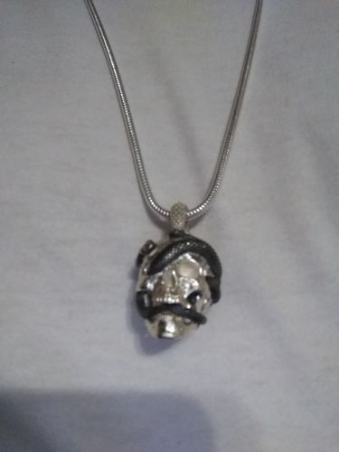 Customer photo review of Skull & Snake | Limited Edition-99 Pieces（73 Pieces） | 925 Sterling Silver