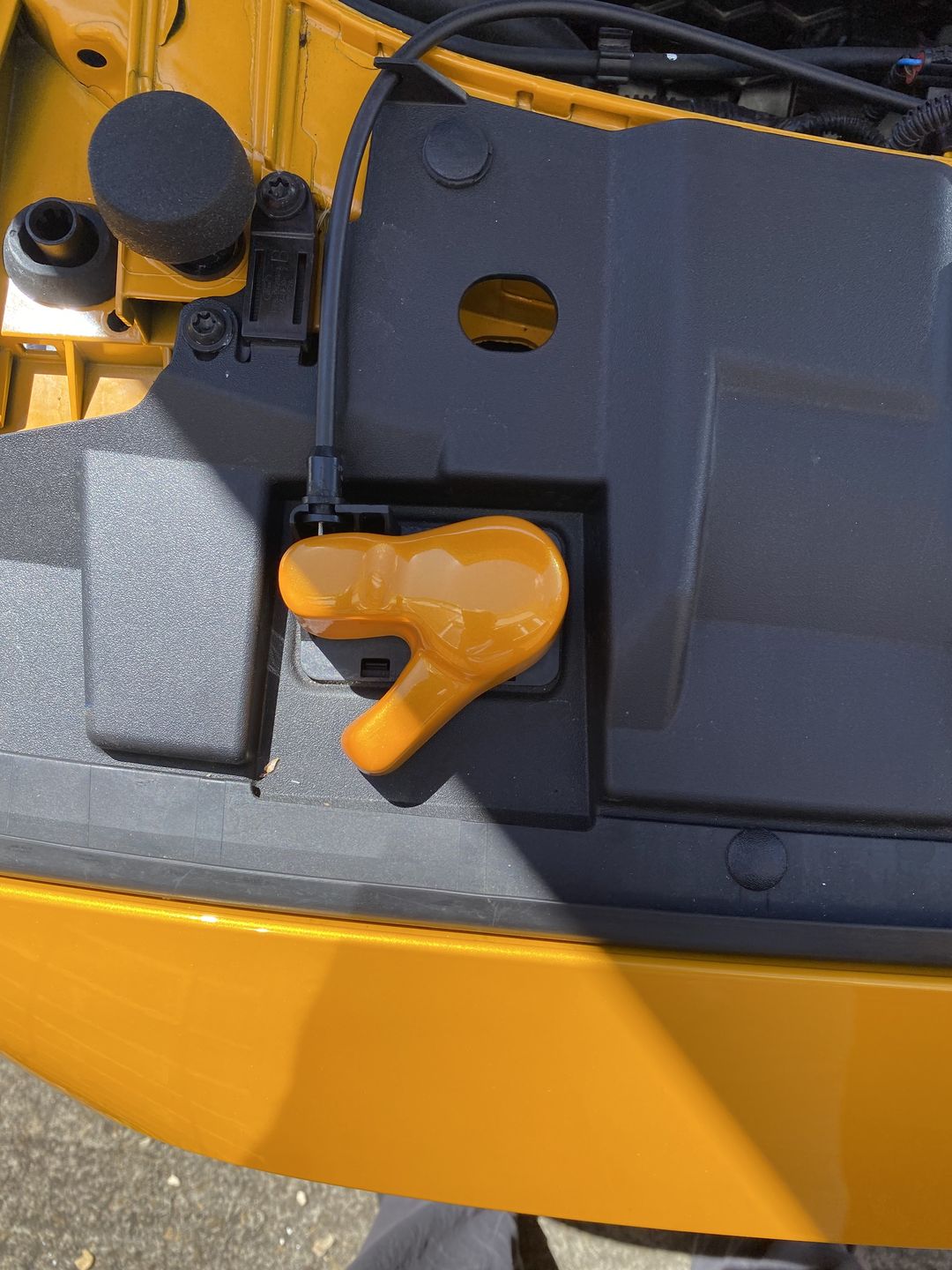 Customer photo review of Proform Bonnet Catch Cover (Painted/Hydrodipped) - MK3/ 3.5 Focus