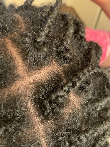 Customer photo review of BEST SELLER! Chad and India’s Root to Tip Bundle| 3 sizes to choose from