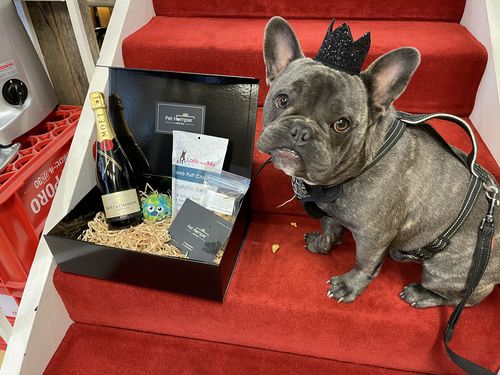 Customer photo review of Pawfect Moments Hamper