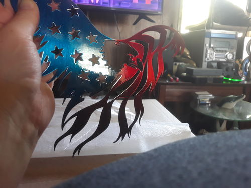 Customer photo review of Flying American Eagle / No Banner