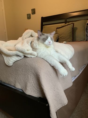 softserve-clothing Reviews - 12,115 Reviews | softserveclothing.com