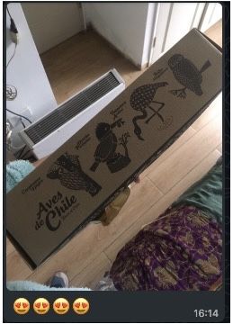 Customer photo review of Aves de Chile Juego de 4 Vasos