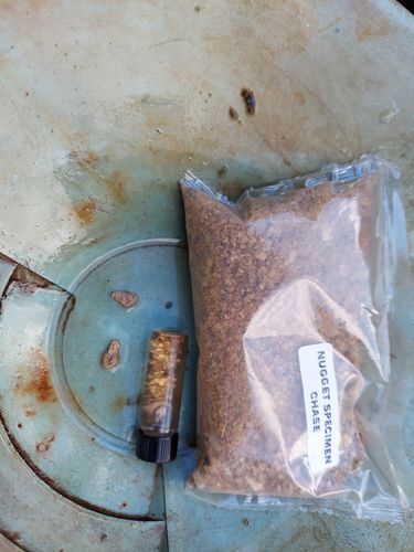 Customer photo review of Nugget Reserve 'MUSEUM SPECIMEN CHASE' - Gold Panning Paydirt Concentrate