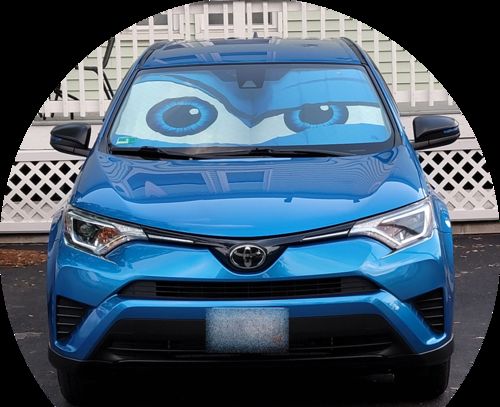 Customer photo review of The Rock Blue Eyes Cartoon Car Sunshade