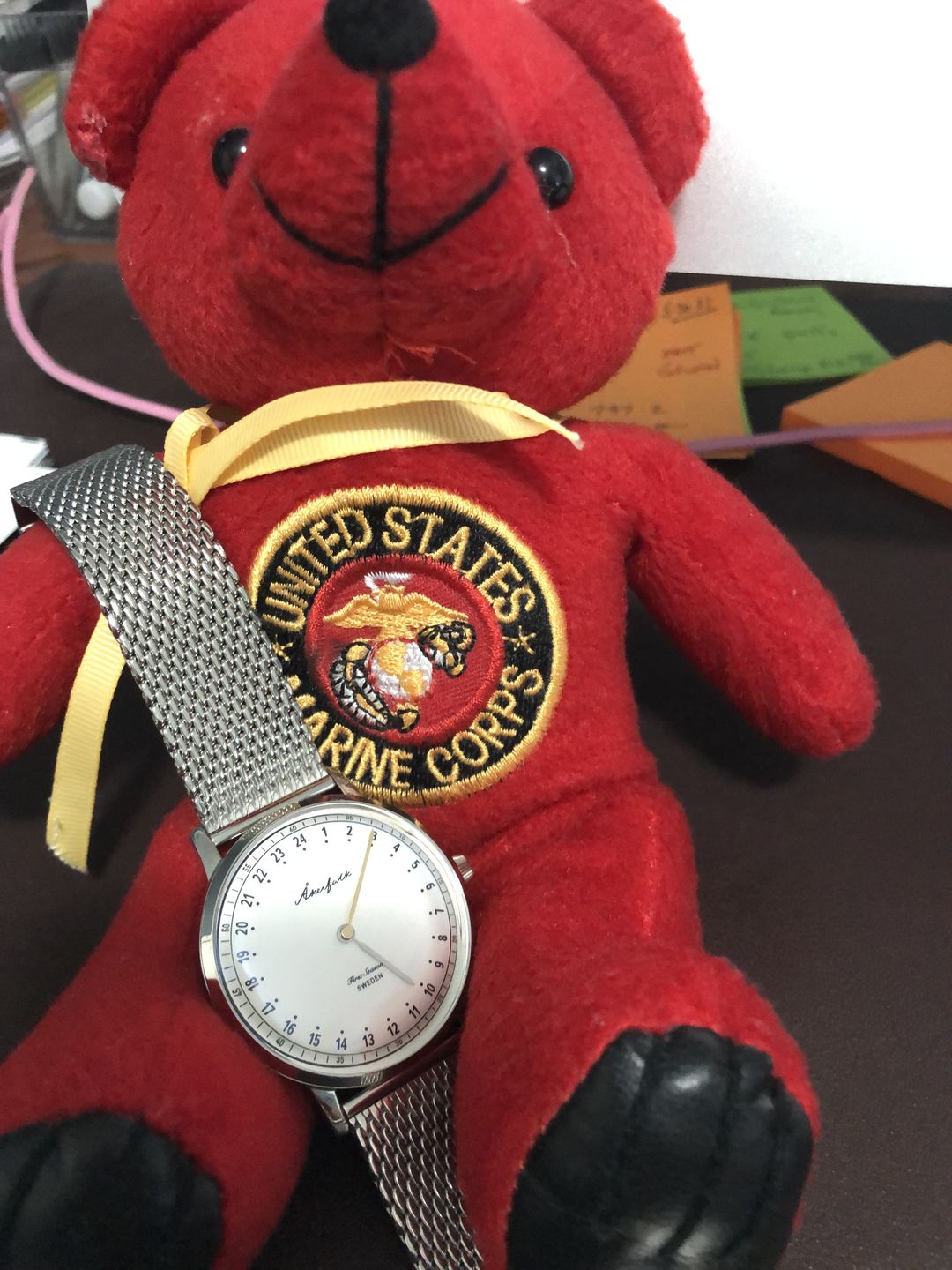 Customer photo review of First Season | 24h watch