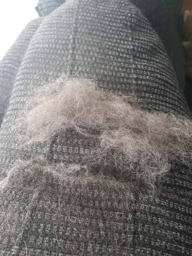 Customer photo review of Lint Swept™ Lint Roller Shaver