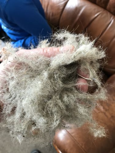 Customer photo review of Lint Swept™ Lint Roller Shaver