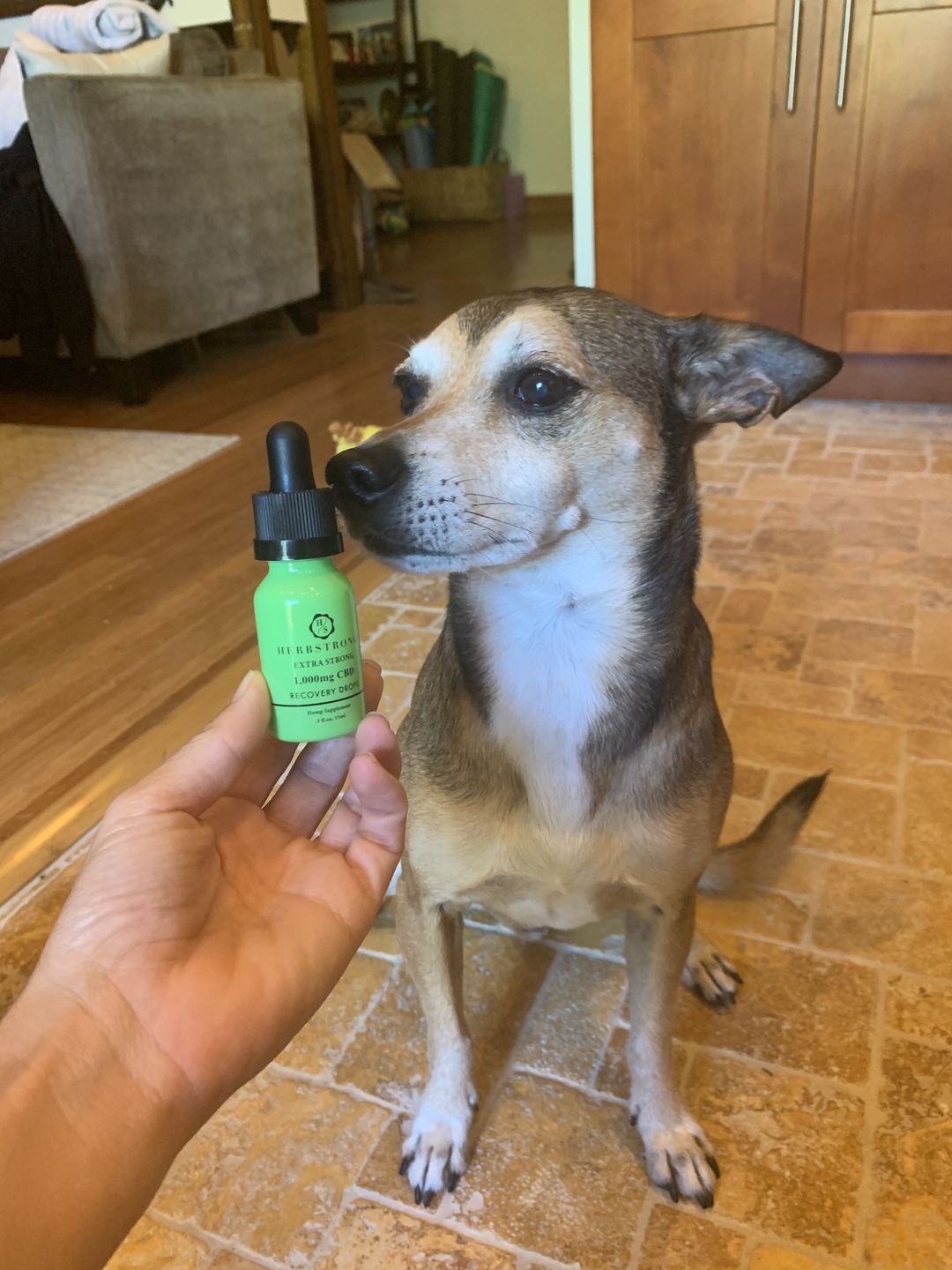 Customer photo review of Extra Strong Recovery Drops