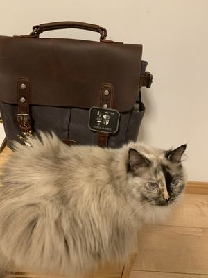 Customer photo review of 多機能キャンバスオートバイバッグサイドポーチ