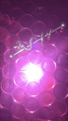 Customer photo review of Serpent Industrial