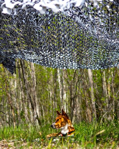 Customer photo review of Sun Cover