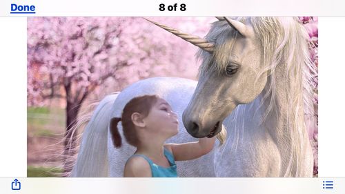 Customer photo review of Pink Unicorn