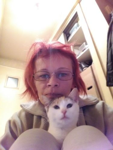 Customer photo review of Panier Coussin Réversible Pour Chat - Hoopet