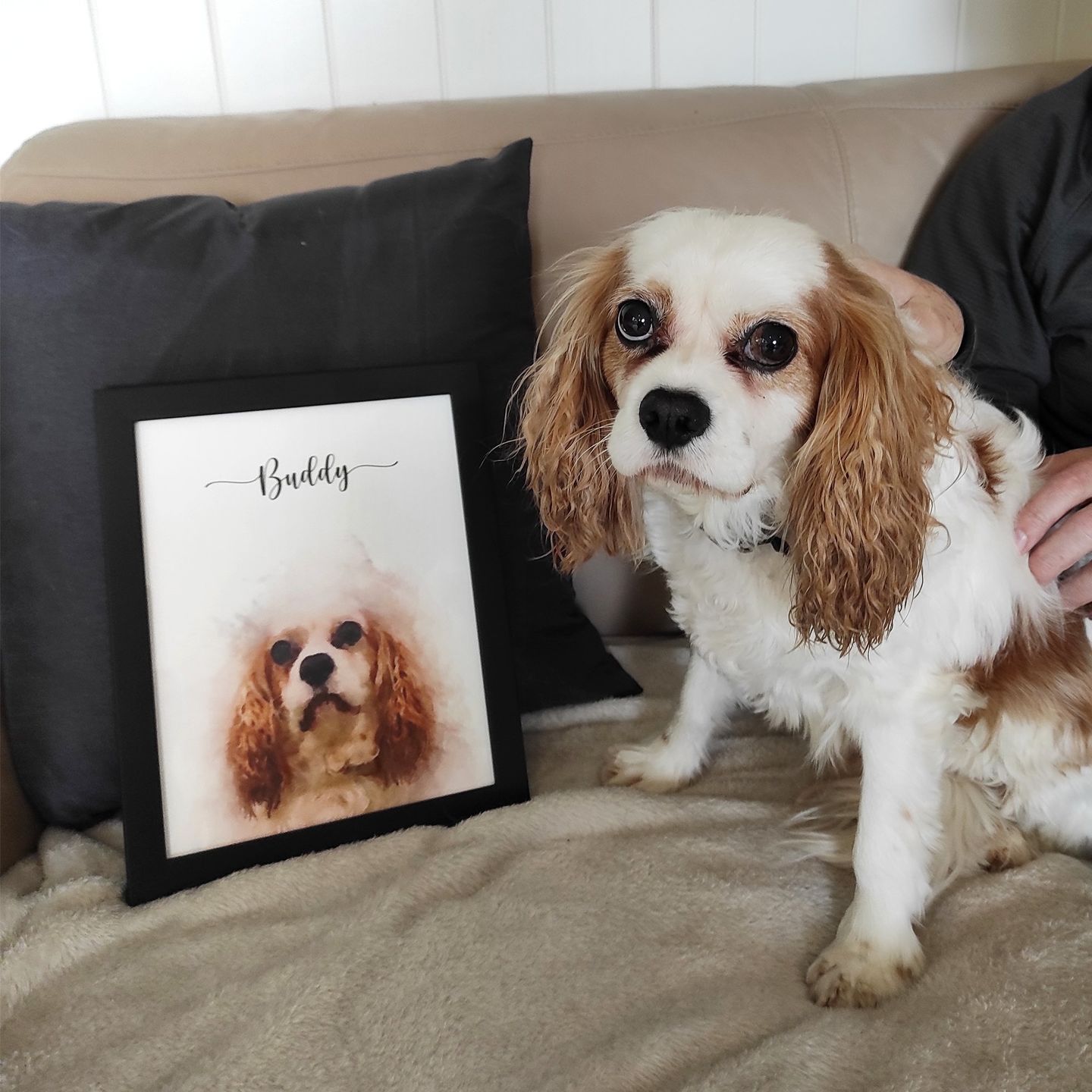 Customer photo review of Custom Pet Portrait