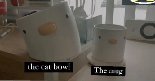 Customer photo review of Purroom Little Chicken Ergonomic Ceramic Pet Bowl - Bevel