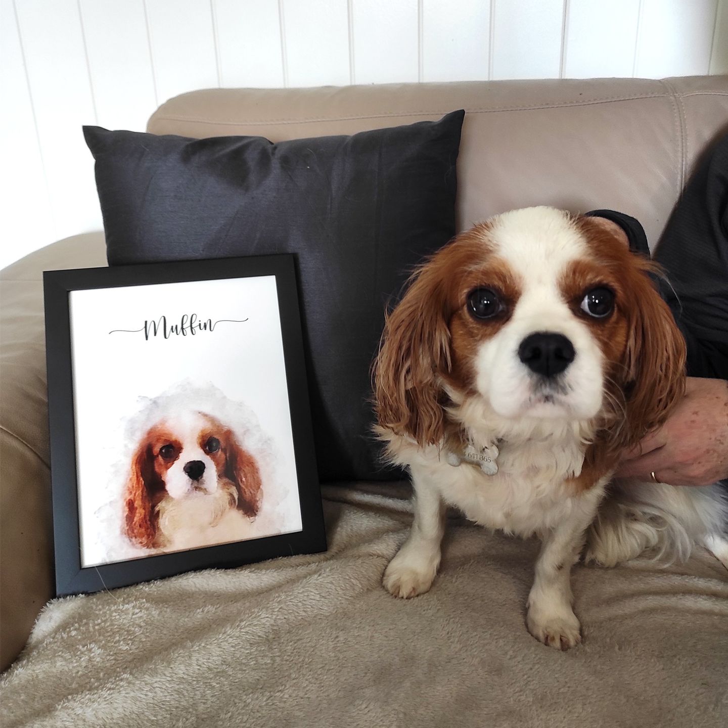 Customer photo review of Custom Pet Portrait