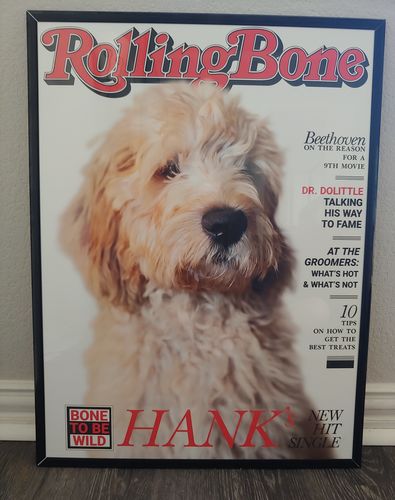 Customer photo review of Posing Pig Custom Print