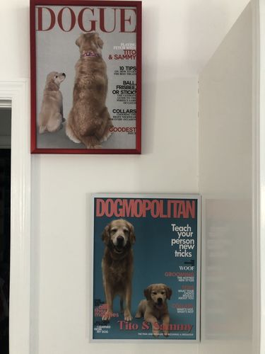 Customer photo review of Posing Pig Custom Print