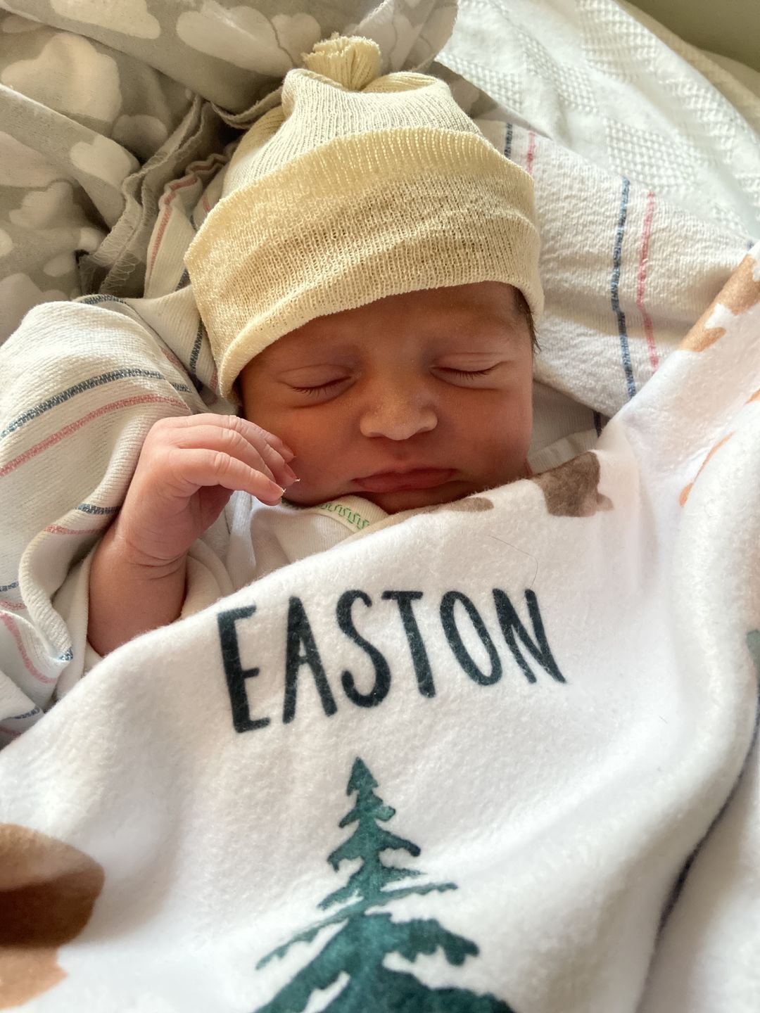 Customer photo review of Bears and Mountains Personalized Baby Blanket