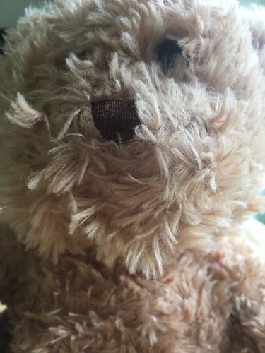 Customer photo review of Meiji Hello Panda Milk Cream Biscuits - 50g