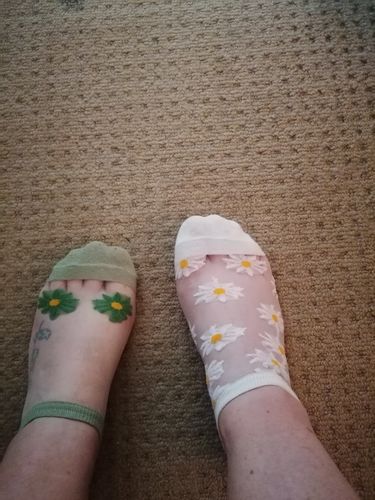 Customer photo review of 🔥Summer Mesh Breathable Elastic Lace Socks