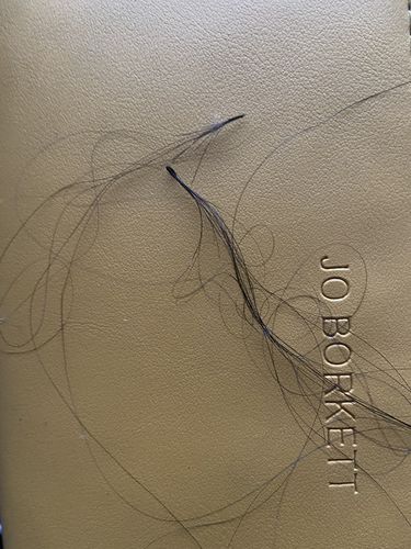 Customer photo review of Brazilian 4x4 Lace Wig - Straight