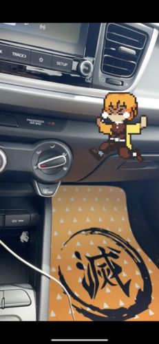Customer photo review of Zenitsu Agatsuma Pattern Car Floor Mats Custom Demon Slayer Kimetsu no Yaiba