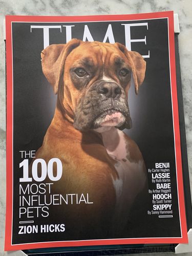 Customer photo review of Posing Pig Custom Print